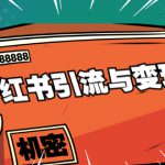 小红书引流与变现：从0-1手把手带你快速掌握小红书涨粉核心玩法进行变现