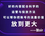 张sir账号流量增长课，告别海王流量，让你的流量更精准