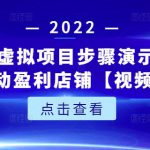新人实操虚拟项目步骤演示，0基础打造自动盈利店铺【视频课程】