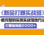 凌童《新品打爆实战班》,一套完整的实操实战落地方法，打爆链接超2000+（28节课)