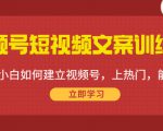 视频号短视频文案训练营：0基础小白如何建立视频号，上热门，能卖货！