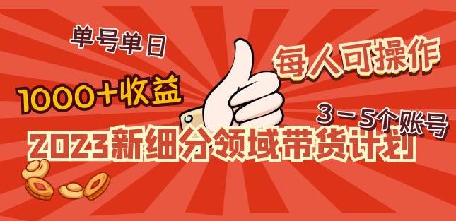 2023新细分领域带货计划:单号单日1000+收益不难,每人可操作3-5个账号