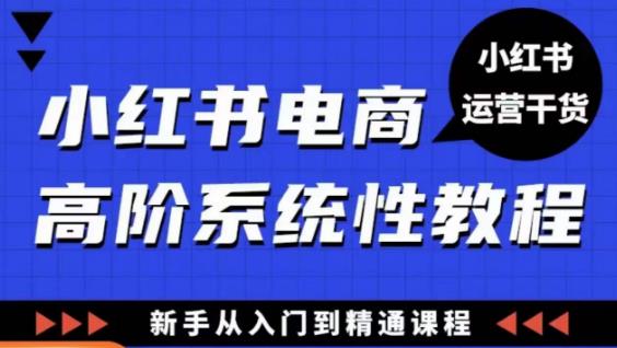 小红书电商高阶系统教程,新手从入门到精通系统课