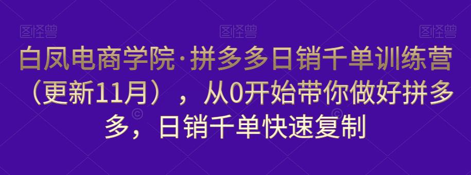 白凤电商学院·拼多多日销千单训练营,从0开始带你做好拼多多,日销千单快速复制(更新知2023年3月)
