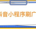 【低保项目】抖音小程序刷广告变现玩法，需要自己动手去刷，多劳多得【详细教程】