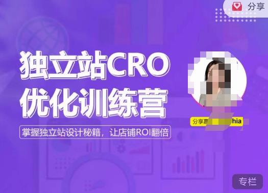 独立站CRO优化训练营,掌握独立站设计秘籍,打造高转化的独立站,让店铺ROI翻倍