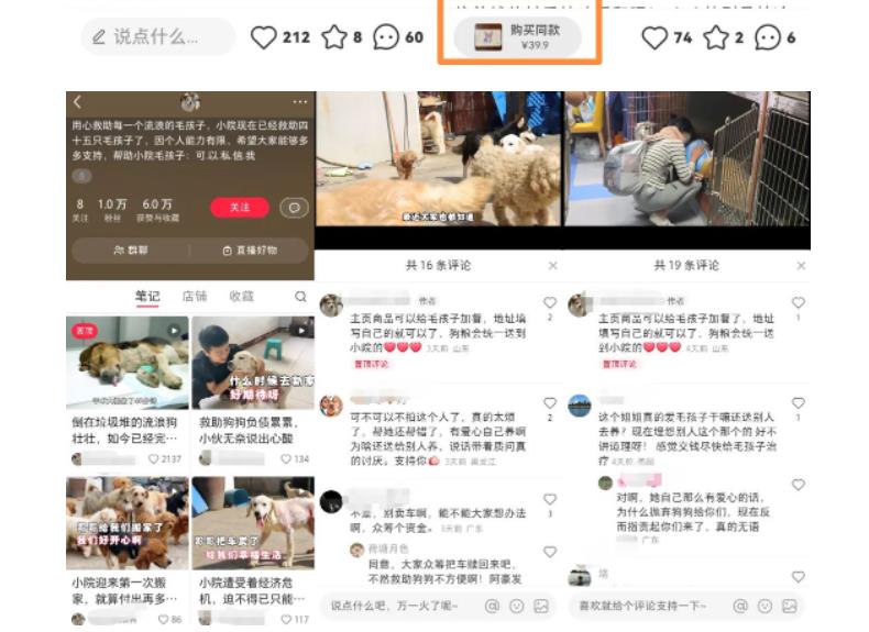 小红书蓝海类赛道：小动物打赏与购买变现副业项目，一条龙玩法分享[/erphpdown]给你！