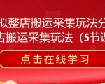 淘宝虚拟整店搬运采集玩法分享课，整店搬运采集玩法（5节课）