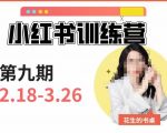 小红书训练营第9期（花生的书桌）：7天定位实战+7天爆款拆解实战，21天爆款笔记实操