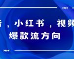 抖音，小红书，视频号爆款流视频制作，简单制作掌握流量密码