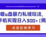 车载u盘暴力私域玩法，一部手机实现日入300+【揭秘】