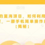 适合小白的蓝海项目，如何利用PPT模板轻松变现，一部手机简单操作月入过万【揭秘】