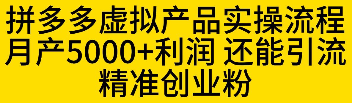 拼多多虚拟产品实操流程,月产5000+利润,还能引流精准创业粉【揭秘】