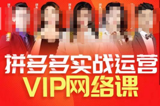 推易拼多多VIP全套直播课程,拼多多店铺实操玩法+实战玩法选款内功+直通车高阶等