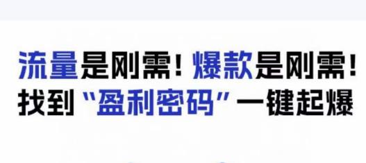 电商盈利精品课:6大盈利密码让产品更好卖,流量是刚需!爆款是刚需!找到”盈利密码”一键起爆