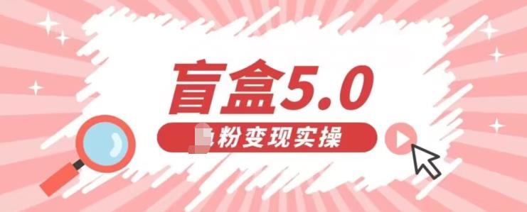 盲盒交友5.0,男粉变现实操项目,亲测变现效果极好【揭秘】