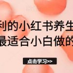 冷门暴利的小红书养生花茶项目，最适合小白做的项目【揭秘】