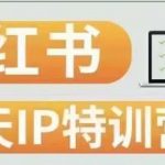 28天小红书博主IP特训营（第3期）实战经验，快速涨粉，迅速变现