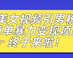 价值3980的男粉暴力引流变现项目，一部手机简单操作，新手小白轻松上手，每日收益500+【揭秘】