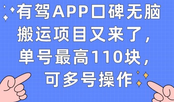 有驾APP口碑无脑搬运项目又来了,单号最高110块,可多号操作