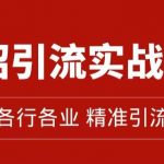 精准引流术：11招引流实战方法，让你私域流量加到爆（11节课完整)
