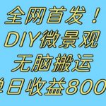 全网首发冷门赛道！DIY微景观，无脑搬运视频，日收益800+【揭秘】
