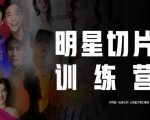 王子·明星切片线上训练营（2023），和明星一起拿红利，让明星为我们赚钱