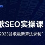 雷子·谷歌SEO 2.0实战课，独立站询盘自由必备，基于2023谷歌最新算法录制