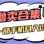0撸项目月入过万，售卖全套ai工具合集，一单29.9元，一部手机即可【揭秘】