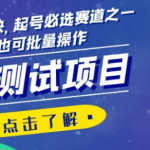 心理测试项目，涨粉猛变现快，起号必选赛道之一，新手也可批量操作【揭秘】