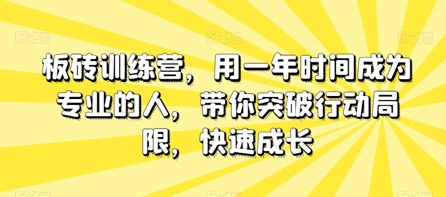 板砖训练营,用一年时间成为专业的人,带你突破行动局限,快速成长