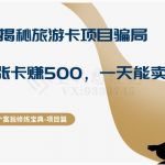十万个富翁修炼宝典之5.揭秘旅游卡项目骗局，号称“一张卡赚500，一天能卖两三张”