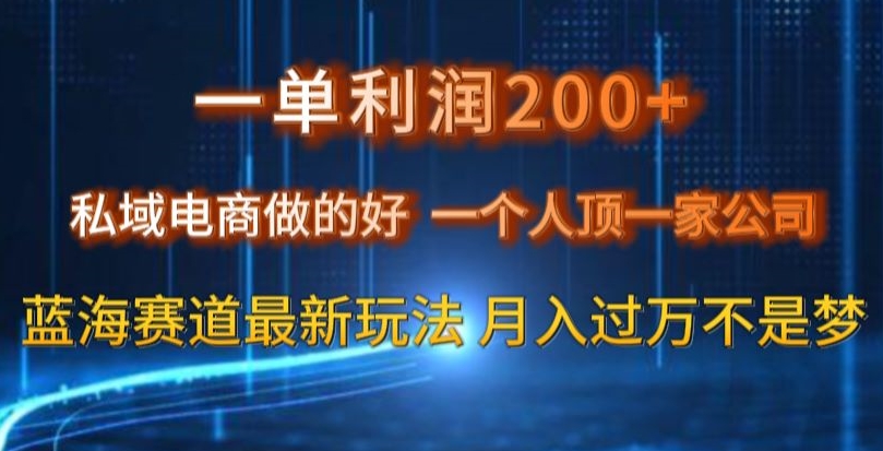 一单利润200私域电商做的好,一个人顶一家公司蓝海赛道最新玩法【揭秘】