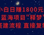 小白能日赚1800元的蓝海项目”释梦”0-1搭建流程可直接复制粘贴长期做【揭秘】