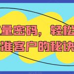 营销流量密码，轻松获取精准客户的秘诀