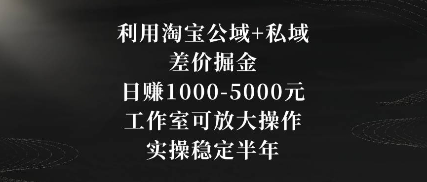 利用淘宝公域+私域差价掘金,日赚1000-5000元,工作室可放大操作,实操稳定半年【揭秘】