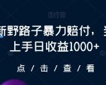 最新野路子暴力赔付，当天上手日收益1000+【仅揭秘】