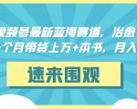 抖音&视频号最新蓝海赛道，治愈书籍带货，一个月带货上万+本书，月入2万＋【揭秘】