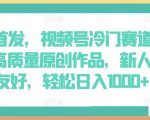 全网首发，视频号冷门赛道，AI制作高质量原创作品，新人小白友好，轻松日入1000+【揭秘】