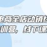 淘系电商全店动销经营模式特训营，线下课录音