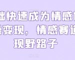 0基础快速成为情感博主实操变现，情感赛道变现野路子
