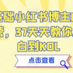 0基础小红书博主IP训练营，37天天教你从小白到KOL
