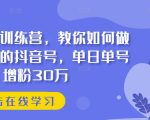 抖音实训训练营，教你如何做一个赚钱的抖音号，单日单号增粉30万