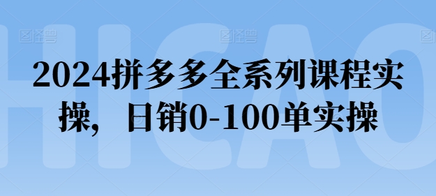 2024拼多多全系列课程实操,日销0-100单实操【必看】