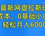 2024最新网盘拉新玩法，无需成本，0基础小白可做，轻松月入6000+【揭秘】
