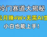 冷门赛道大揭秘，轻松月赚1W+无需AI生成，小白也能上手【揭秘】