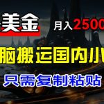 最新撸美金项目，搬运国内小说爽文，只需复制粘贴，稿费月入2500+美金，新手也能快速上手【揭秘】