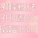 同城搭子相亲新玩法一篇帖子引流80人当日变现3600元(项目教程+实操教程)【揭秘】