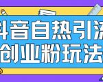 抖音引流创业粉自热玩法日引200+精准粉