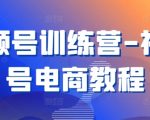 视频号训练营-视频号电商教程